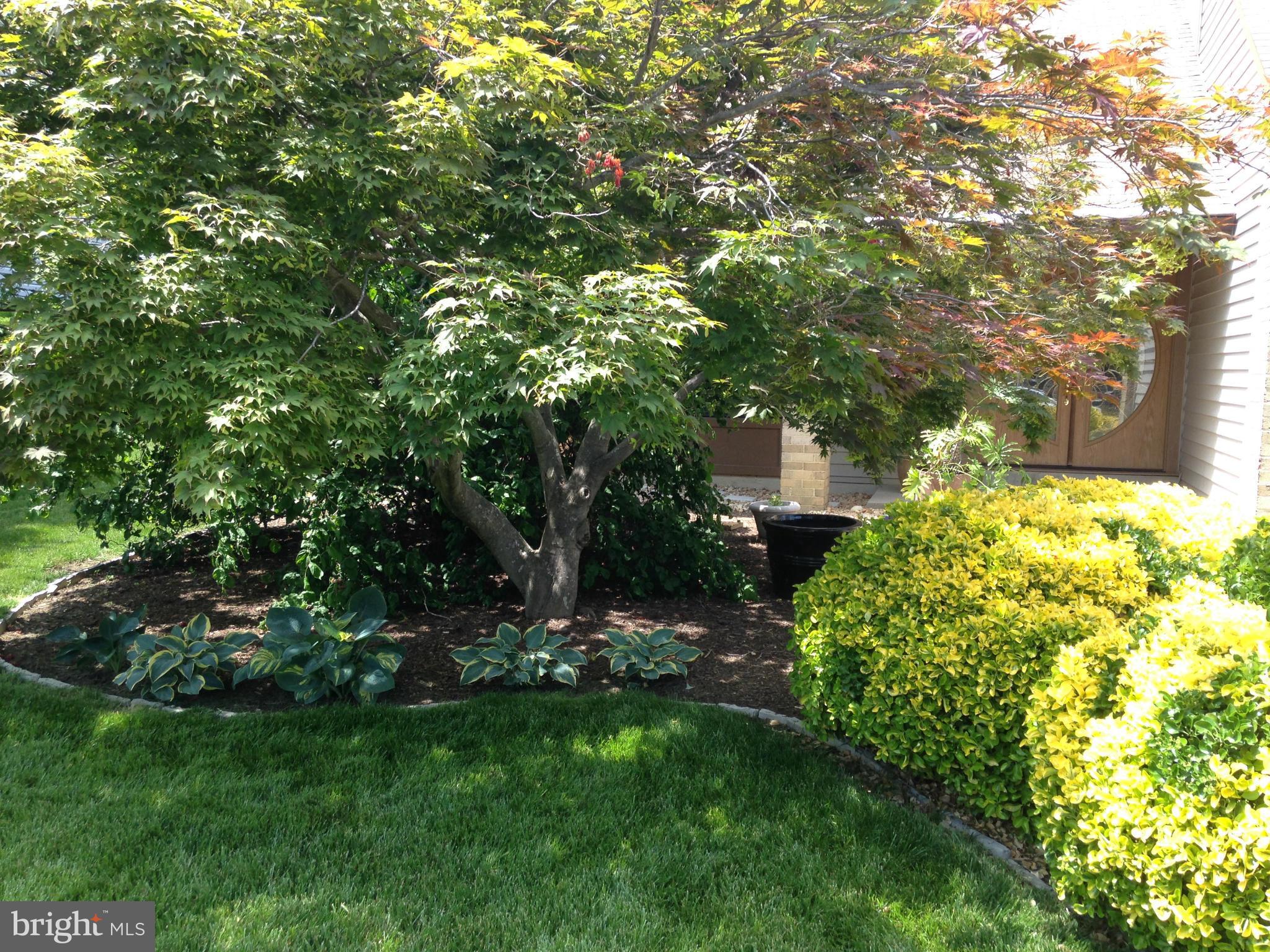4434 Flintstone Road Alexandria, VA 22306 - Photo 2 of 30 Exterior (Front)