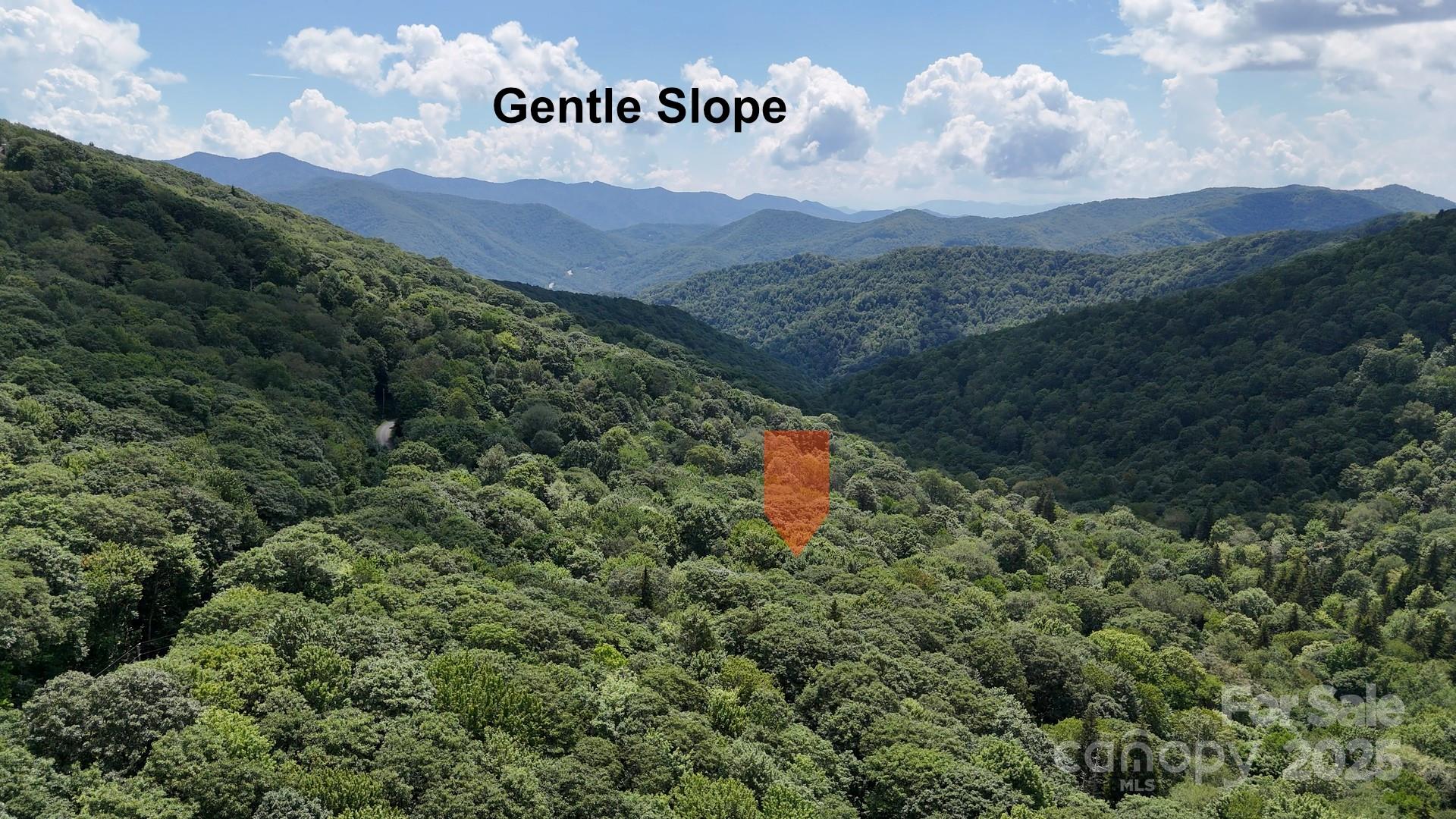 2283 Pless Underwood Road Maggie Valley, NC 28751 - Photo 1 of 13 a view of a dry yard with mountains in the background