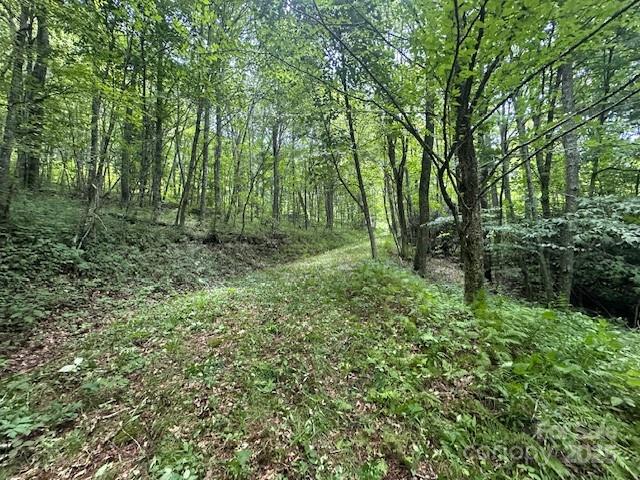 2283 Pless Underwood Road Maggie Valley, NC 28751 - Photo 12 of 13 a big yard with lots of green space and deers