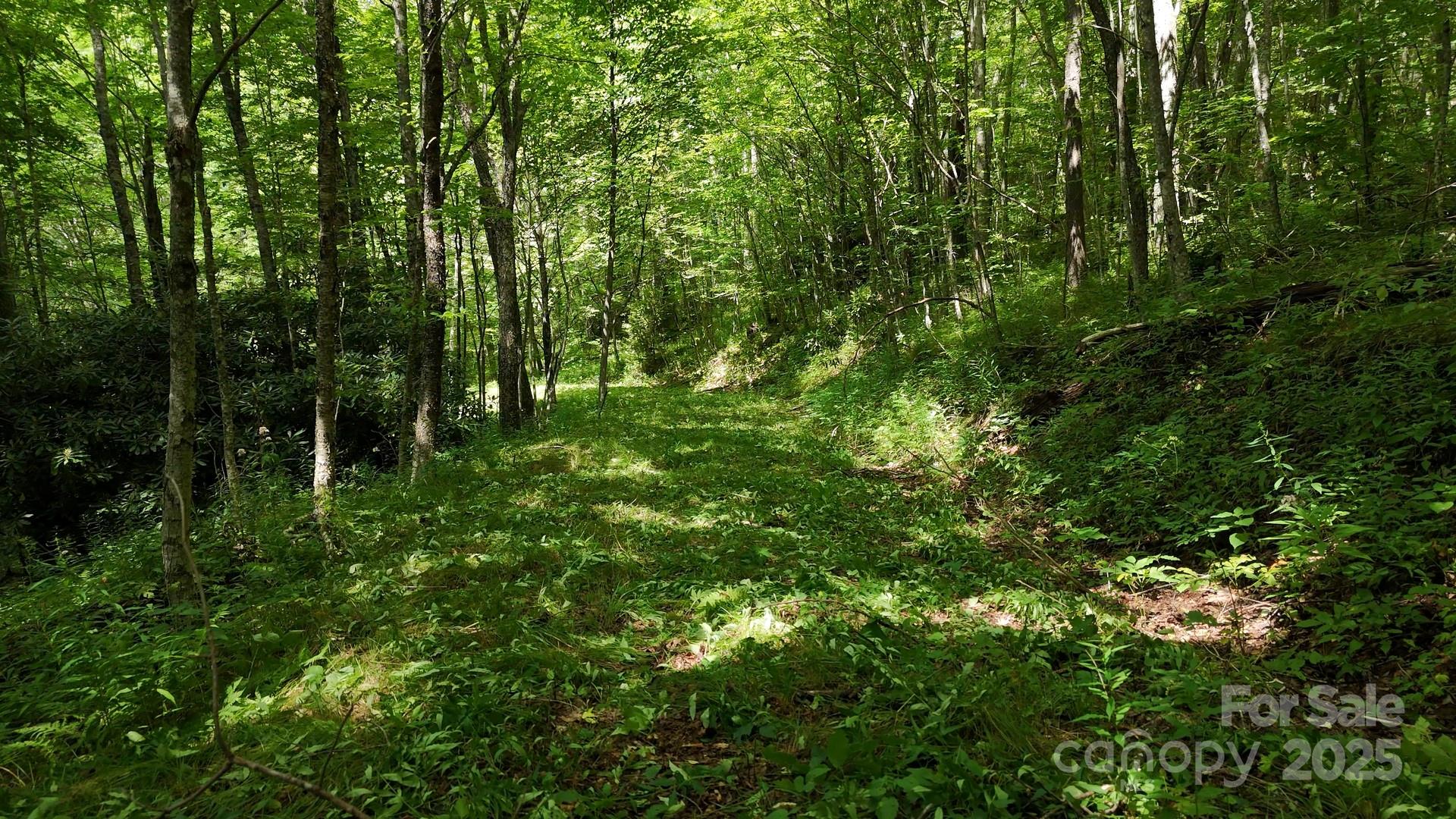 2283 Pless Underwood Road Maggie Valley, NC 28751 - Photo 2 of 13 a view of outdoor space and trees all around