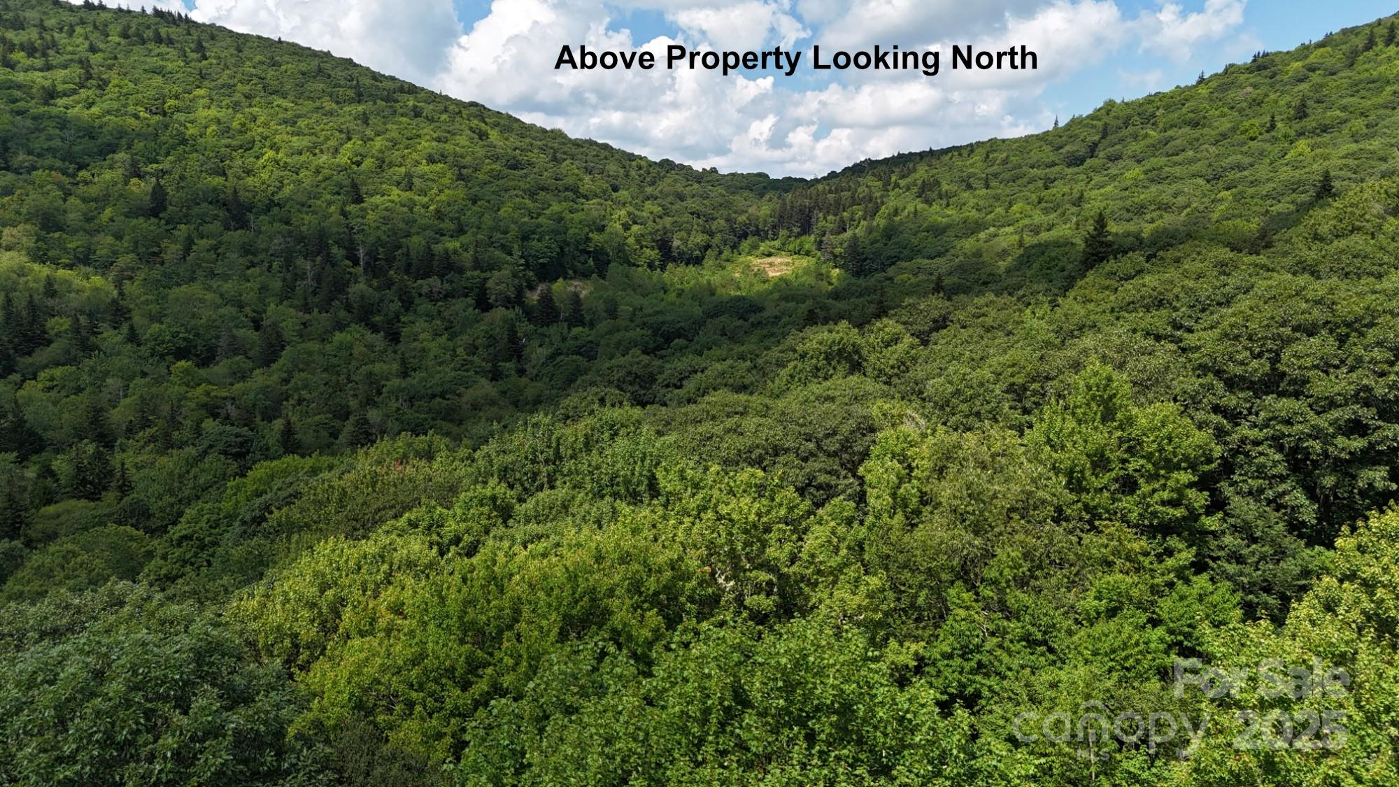 2283 Pless Underwood Road Maggie Valley, NC 28751 - Photo 4 of 13 a view of a field