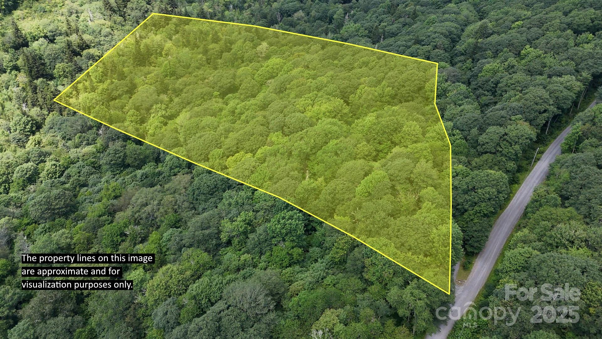 2283 Pless Underwood Road Maggie Valley, NC 28751 - Photo 5 of 13 a view of a tennis court