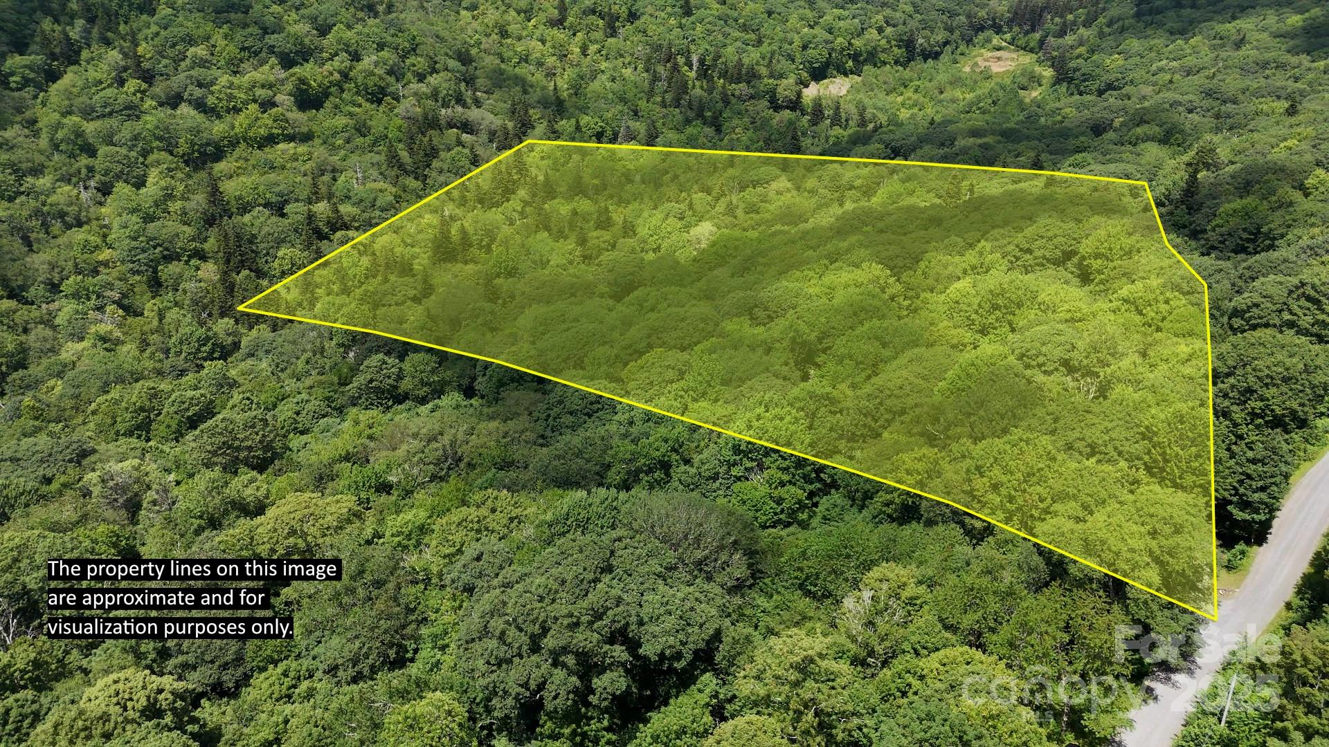 2283 Pless Underwood Road Maggie Valley, NC 28751 - Photo 6 of 13 a view of a green field with a plant