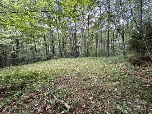 2283 Pless Underwood Road Maggie Valley, NC 28751 - Photo 7 of 13 a big yard with lots of green space and deers