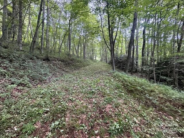 2283 Pless Underwood Road Maggie Valley, NC 28751 - Photo 8 of 13 a view of outdoor space and green space