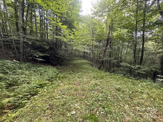 2283 Pless Underwood Road Maggie Valley, NC 28751 - Photo 9 of 13 a view of a garden