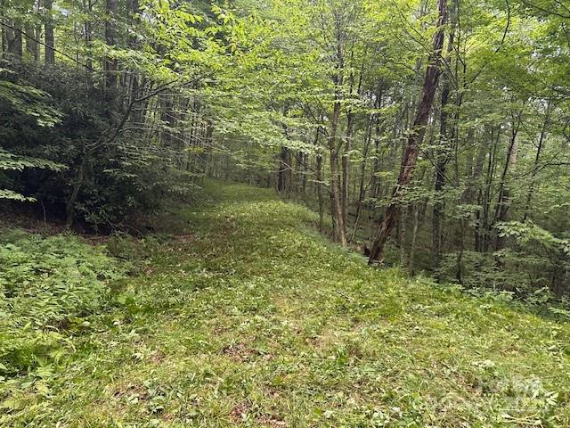 2283 Pless Underwood Road Maggie Valley, NC 28751 - Photo 10 of 13 a view of a garden