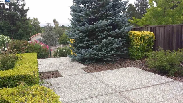 a view of a garden with plants