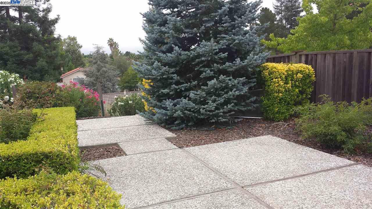 Danville Place Danville, CA 94526 - Photo 23 of 26 a view of a garden with plants