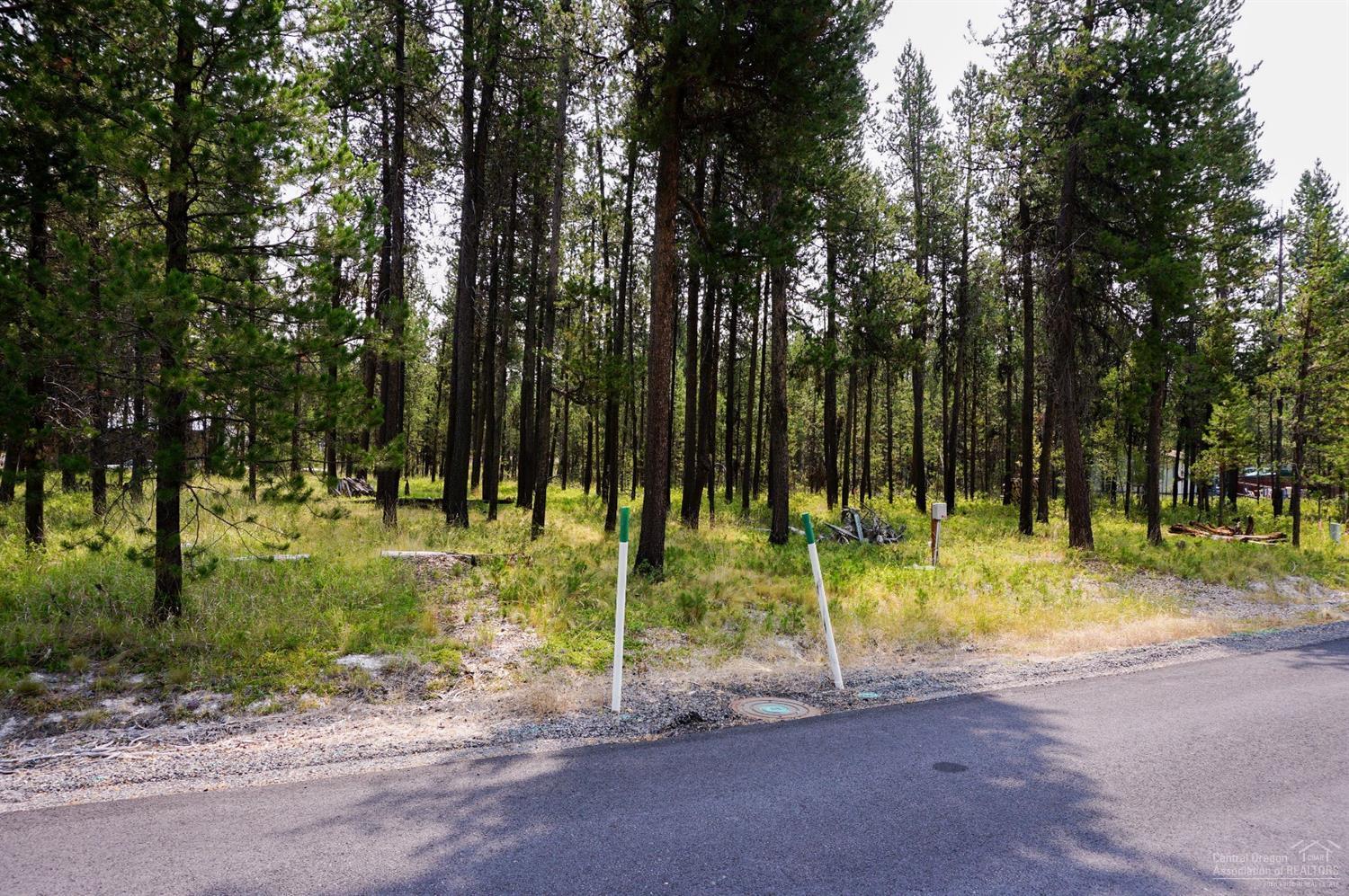 56300 Tree Duck Road Bend, OR 97707 - Photo 1 of 10 Primary Photo