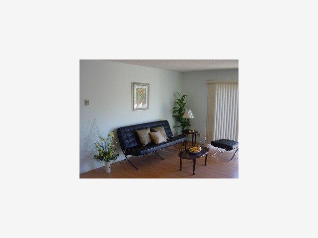 1111 Reed Avenue, Unit D Sunnyvale, CA 94086 - Photo 2 of 7 Gallery Image 2