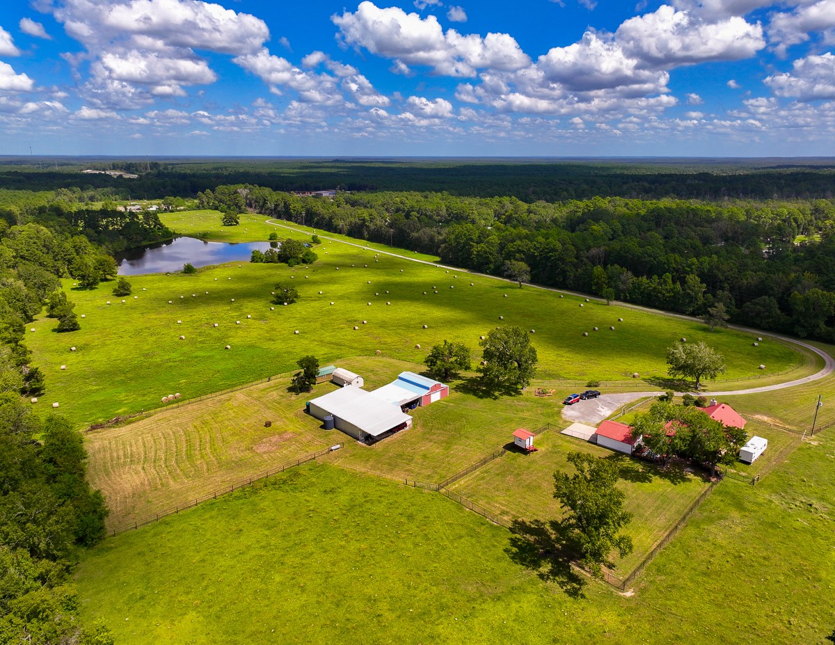 567 Tamie Lowe Road Moscow, TX 75960 - Photo 16 of 50 Gallery Image 16