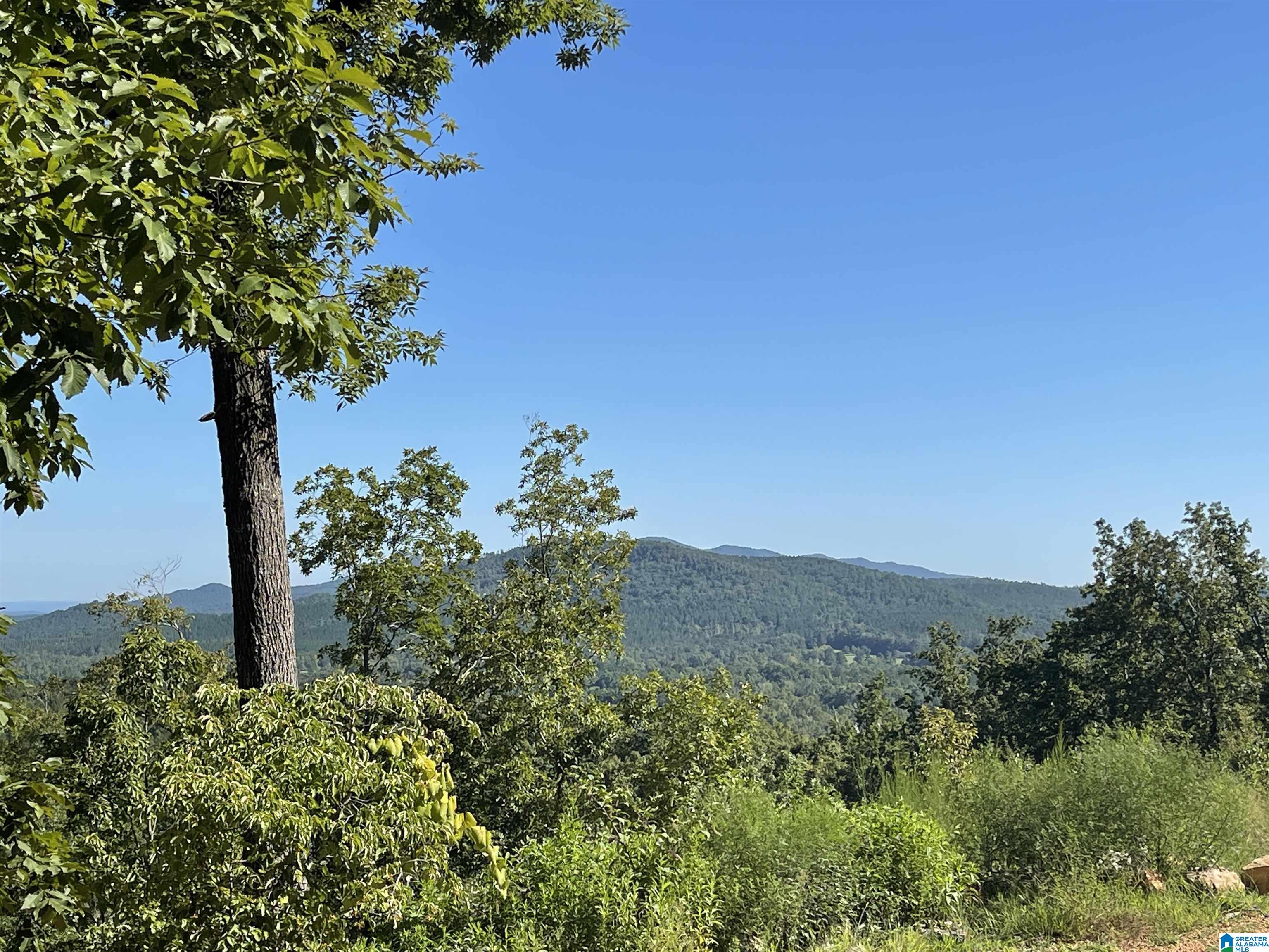0 Benefield Gap Road Piedmont, AL 36272 - Photo 13 of 24