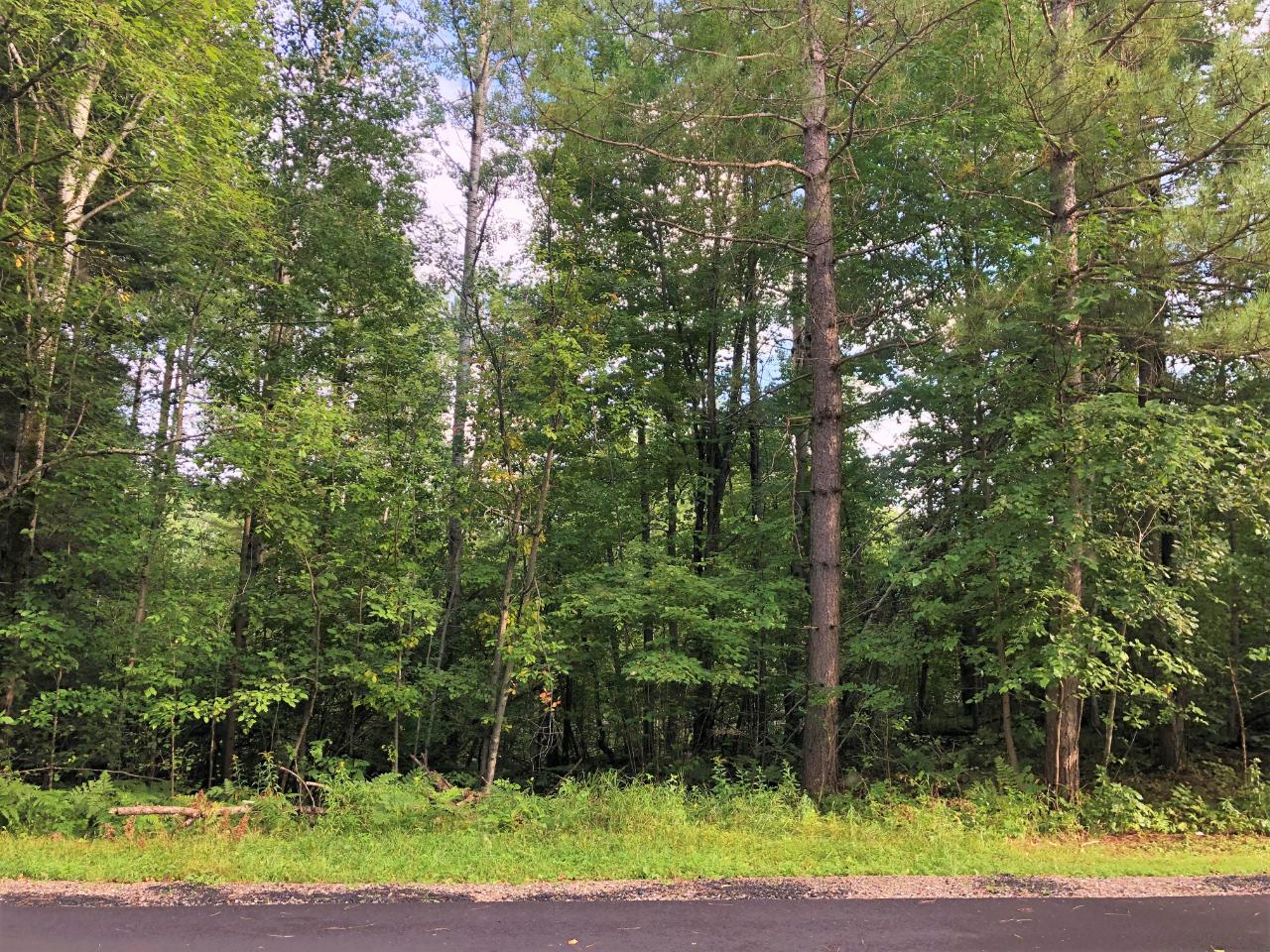 On West Soo Lake Road Phillips, WI 54555 - Photo 3 of 12 Gallery Image 3