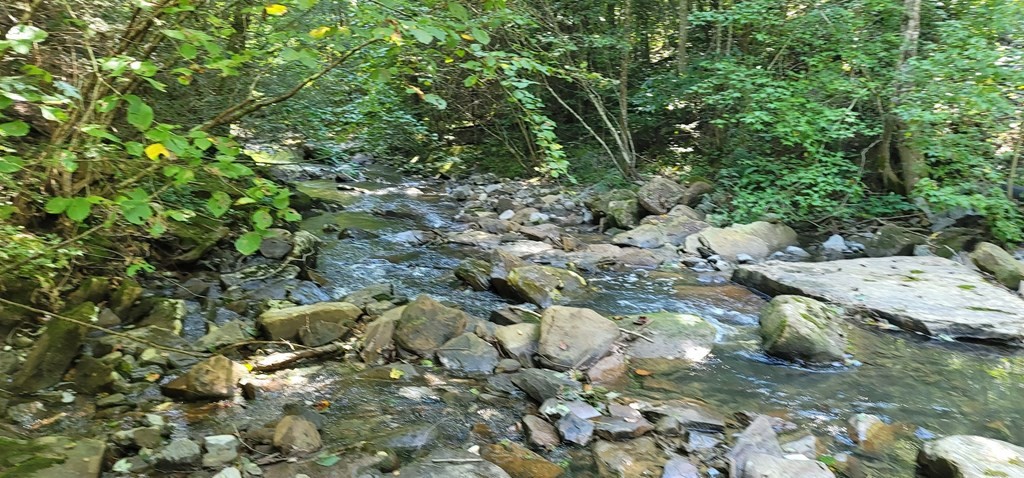 0 Back Valley Road Dayton, TN 37321 - Photo 2 of 20