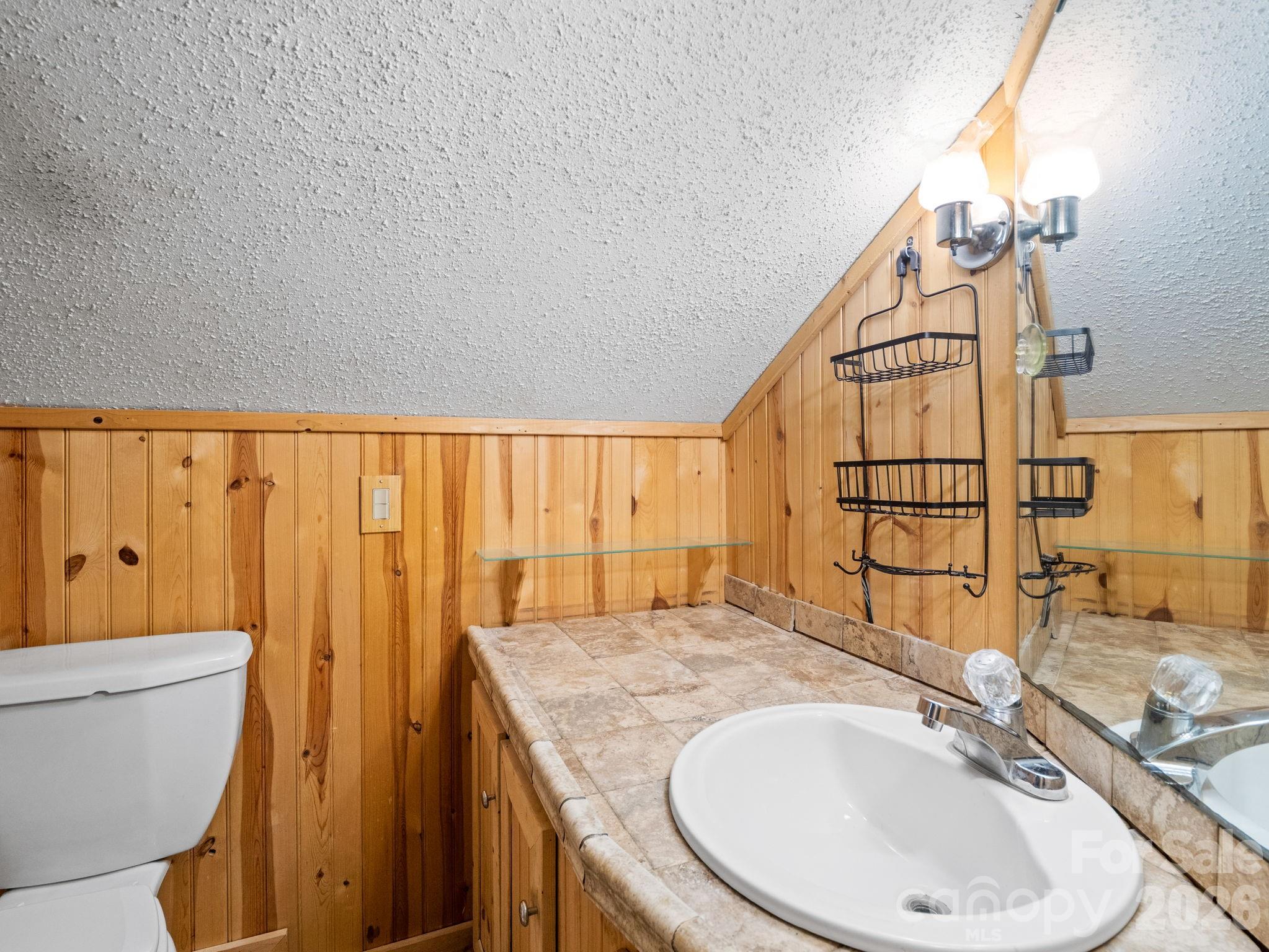 111 Buckeye Road Lake Lure, NC 28746 - Photo 19 of 48
