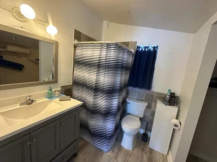 a bathroom with a sink a toilet and mirror