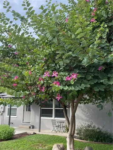 a view of outdoor space and yard