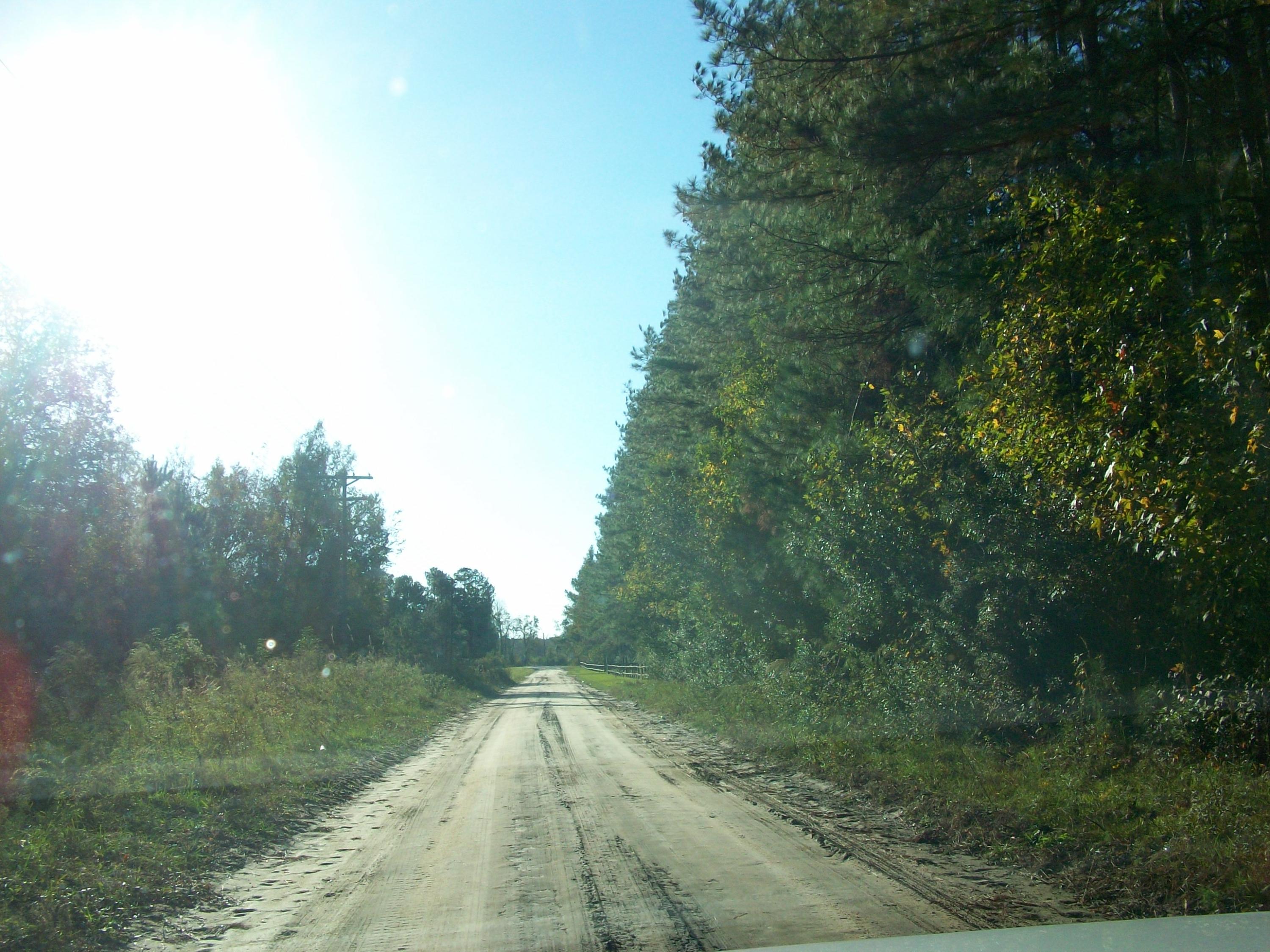 0 Rock Hill Road Vance, SC 29163 - Photo 1 of 2 100_1065