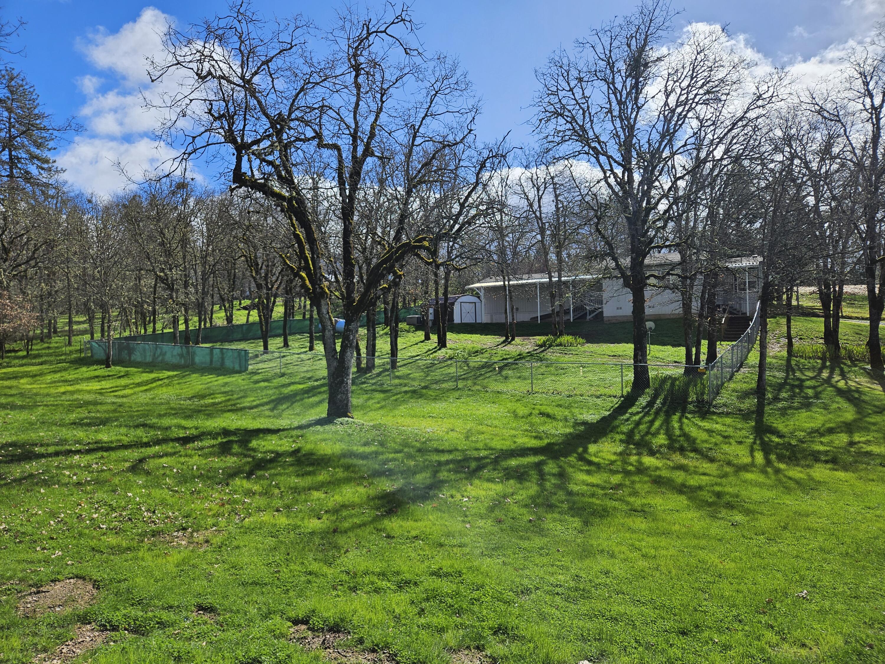 650 Three Pines Road Grants Pass, OR 97526 - Photo 5 of 48 a view of a park with large trees