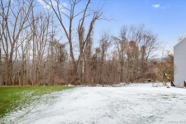 a street view covered with snow
