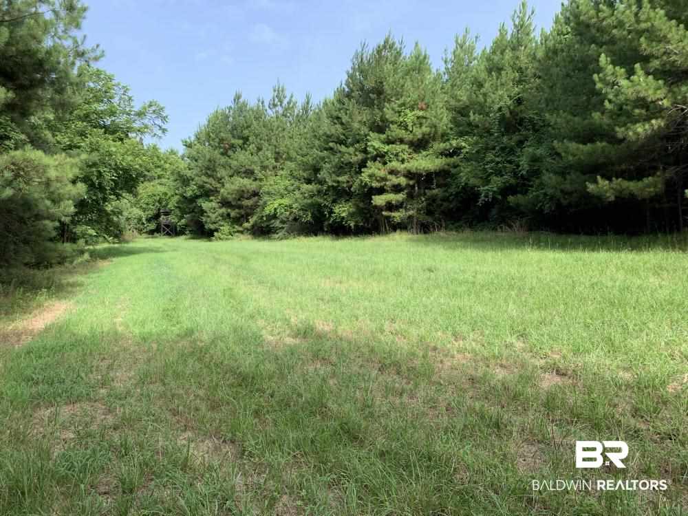 0 Country Road Uriah, AL 36480 - Photo 48 of 49