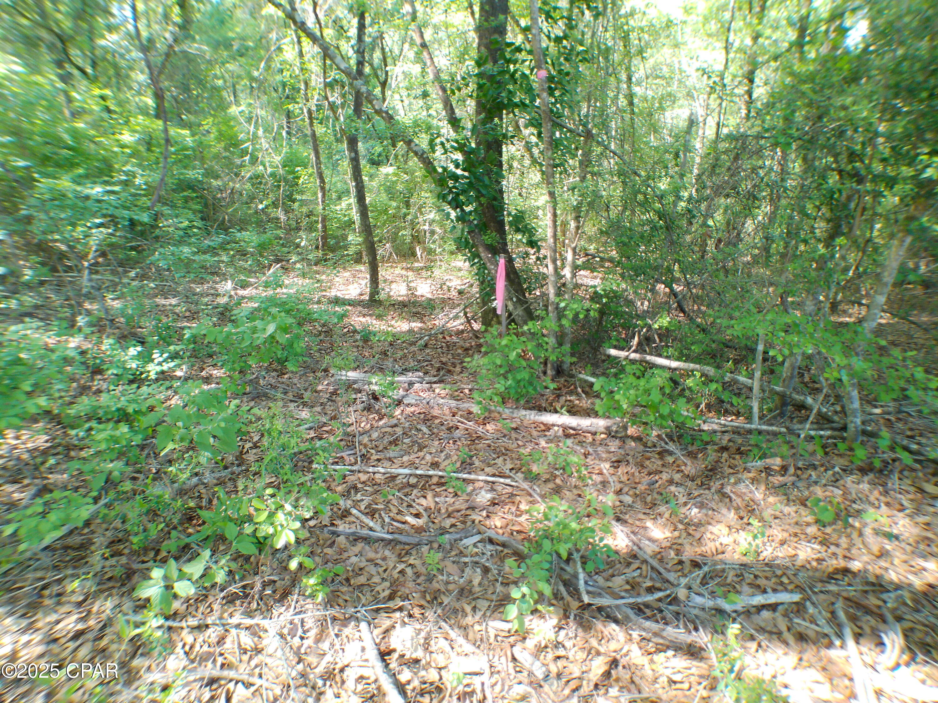 0 Christian Life Road, Unit 17 25 DeFuniak Springs, FL 32433 - Photo 3 of 14 Gallery Image 3
