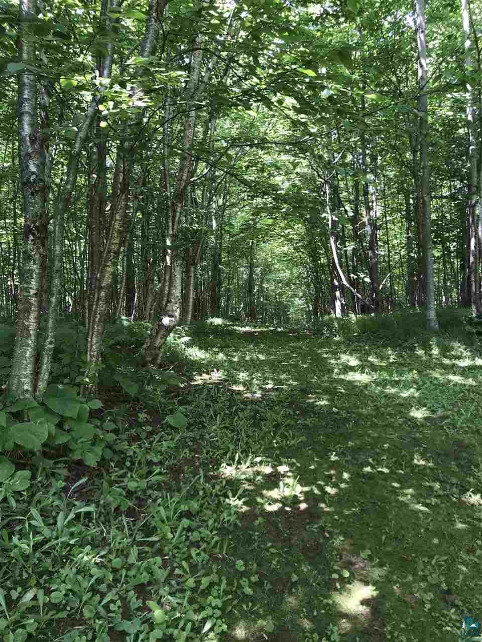 2709 Lindahl Road Proctor, MN 55810 - Photo 13 of 17 walking trail in back of house