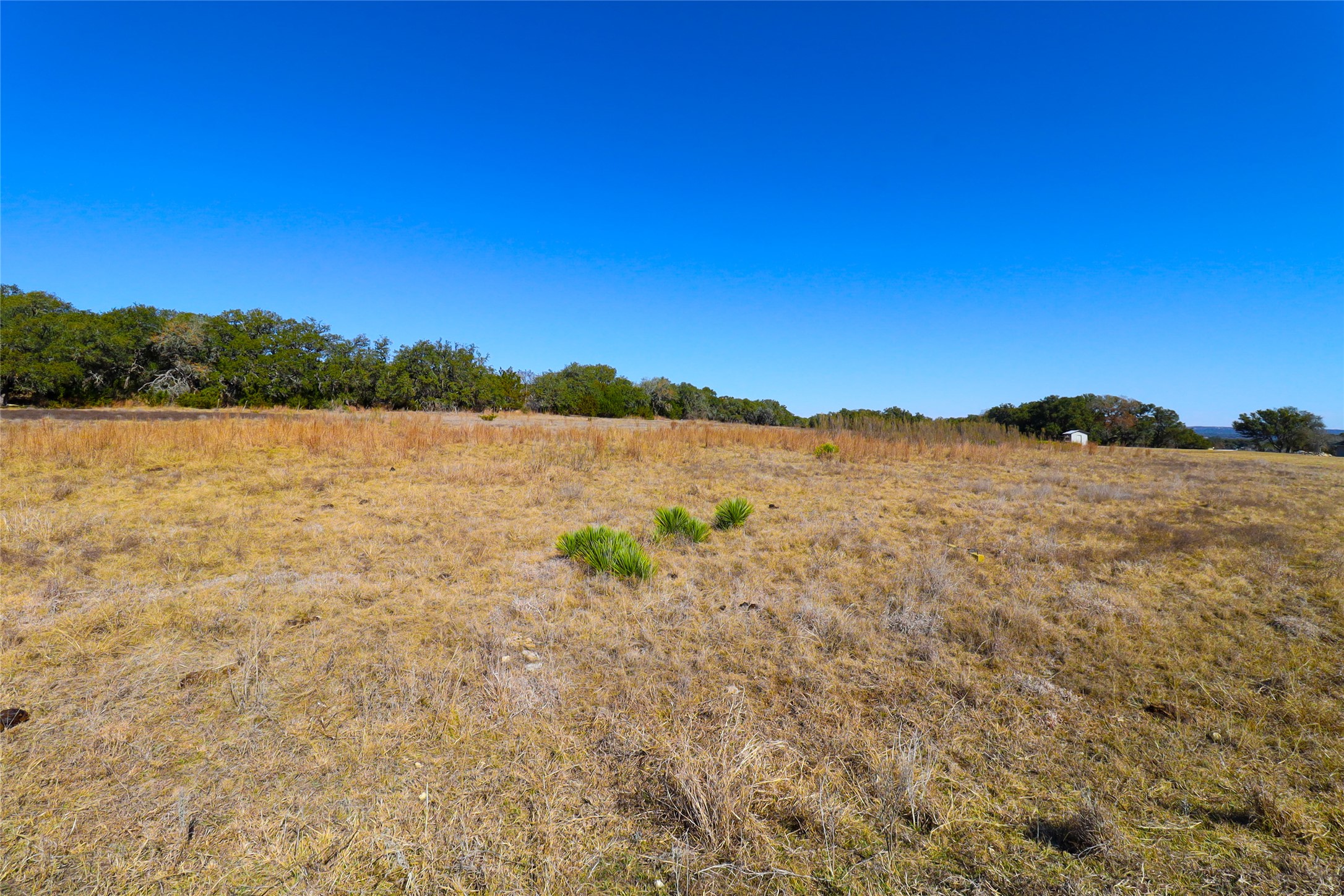 Tbd Lipan Apache Run Blanco, TX 78606 - Photo 18 of 26 View of local wilderness with rural landscape