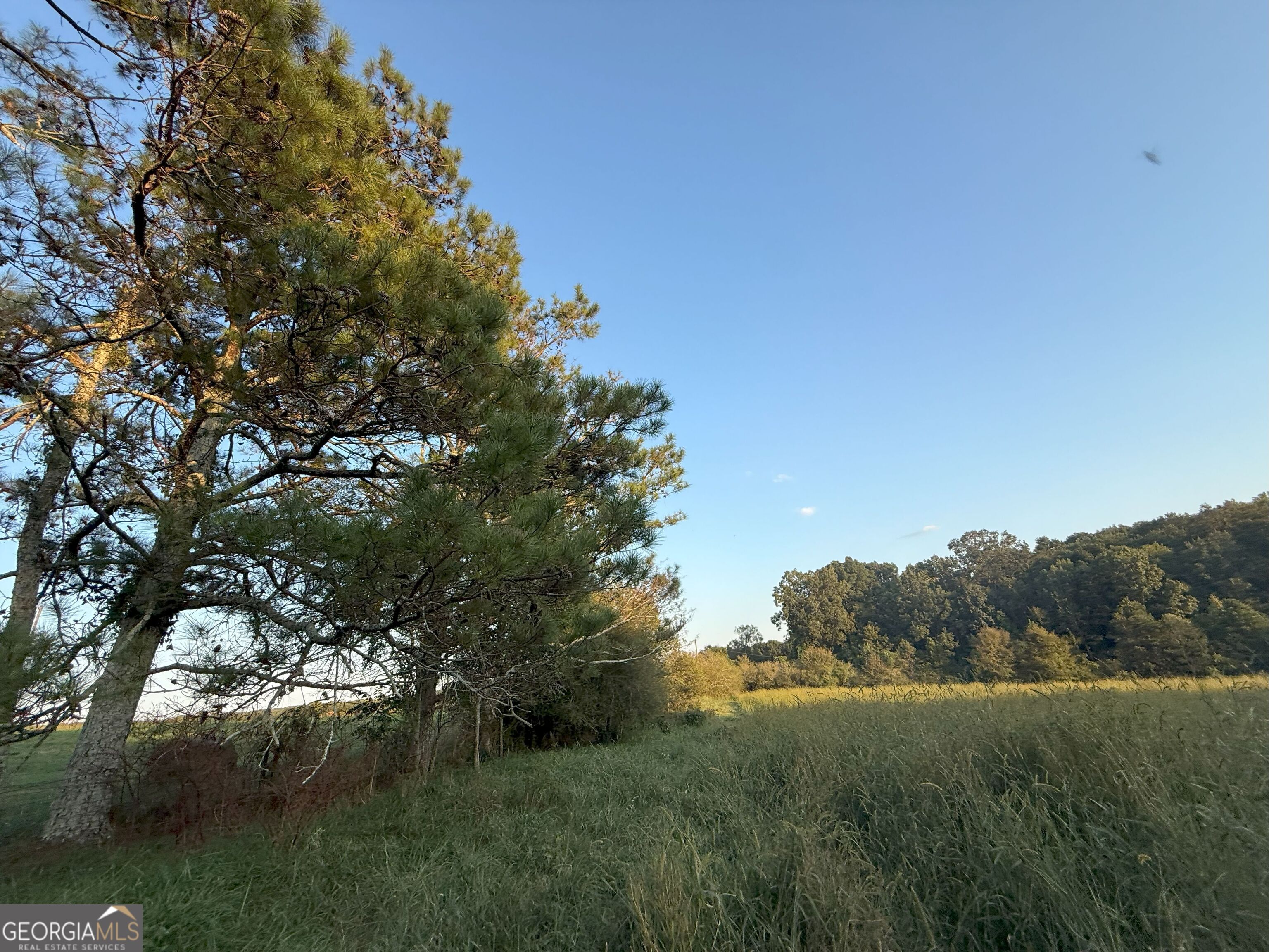 13 West L Williams Road Commerce, GA 30530 - Photo 11 of 25 a view of an outdoor space and a yard