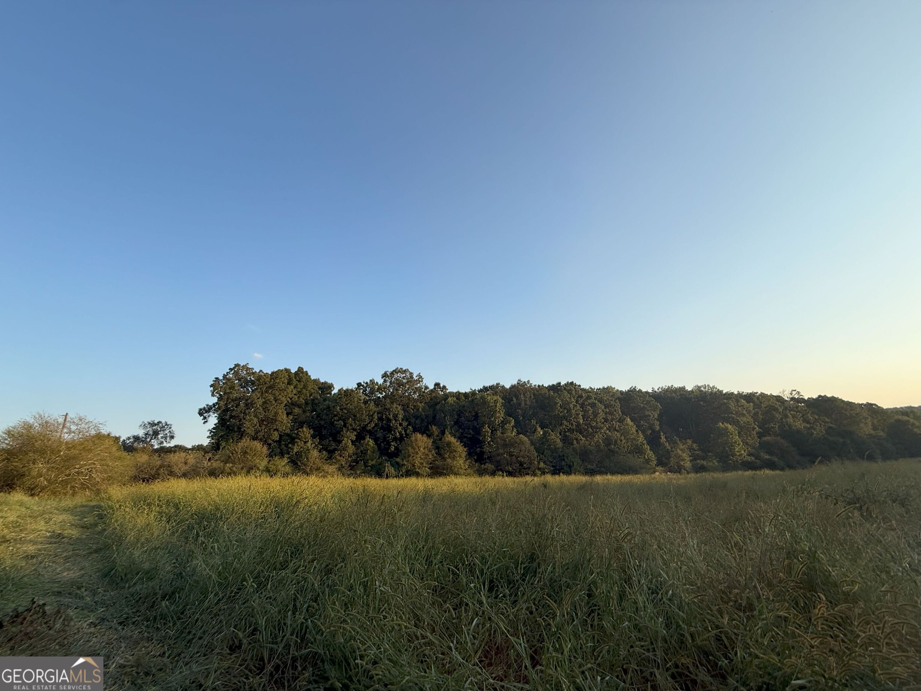 13 West L Williams Road Commerce, GA 30530 - Photo 12 of 25 a view of a field of grass and trees