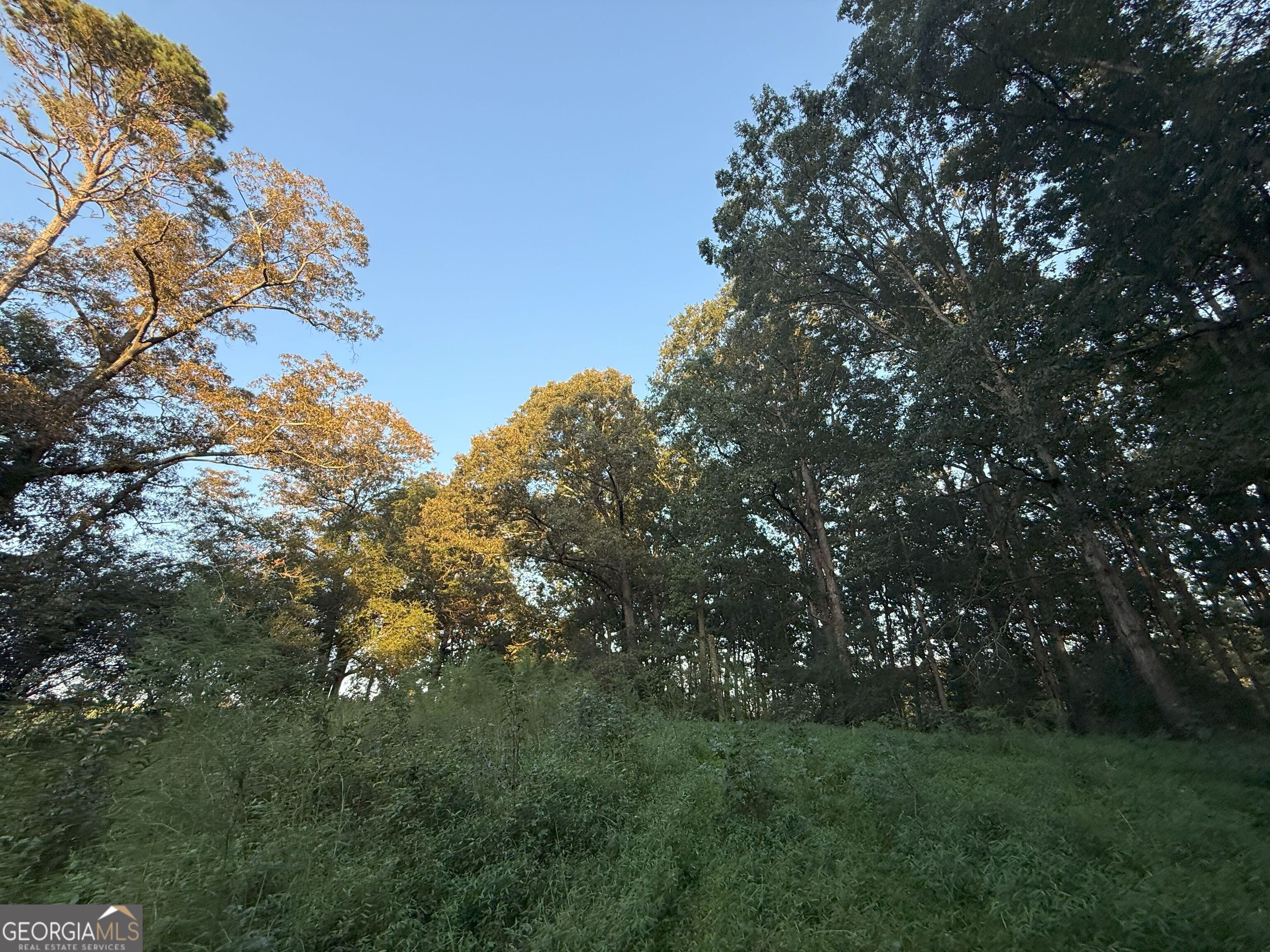 13 West L Williams Road Commerce, GA 30530 - Photo 17 of 25 a view of a lush green space