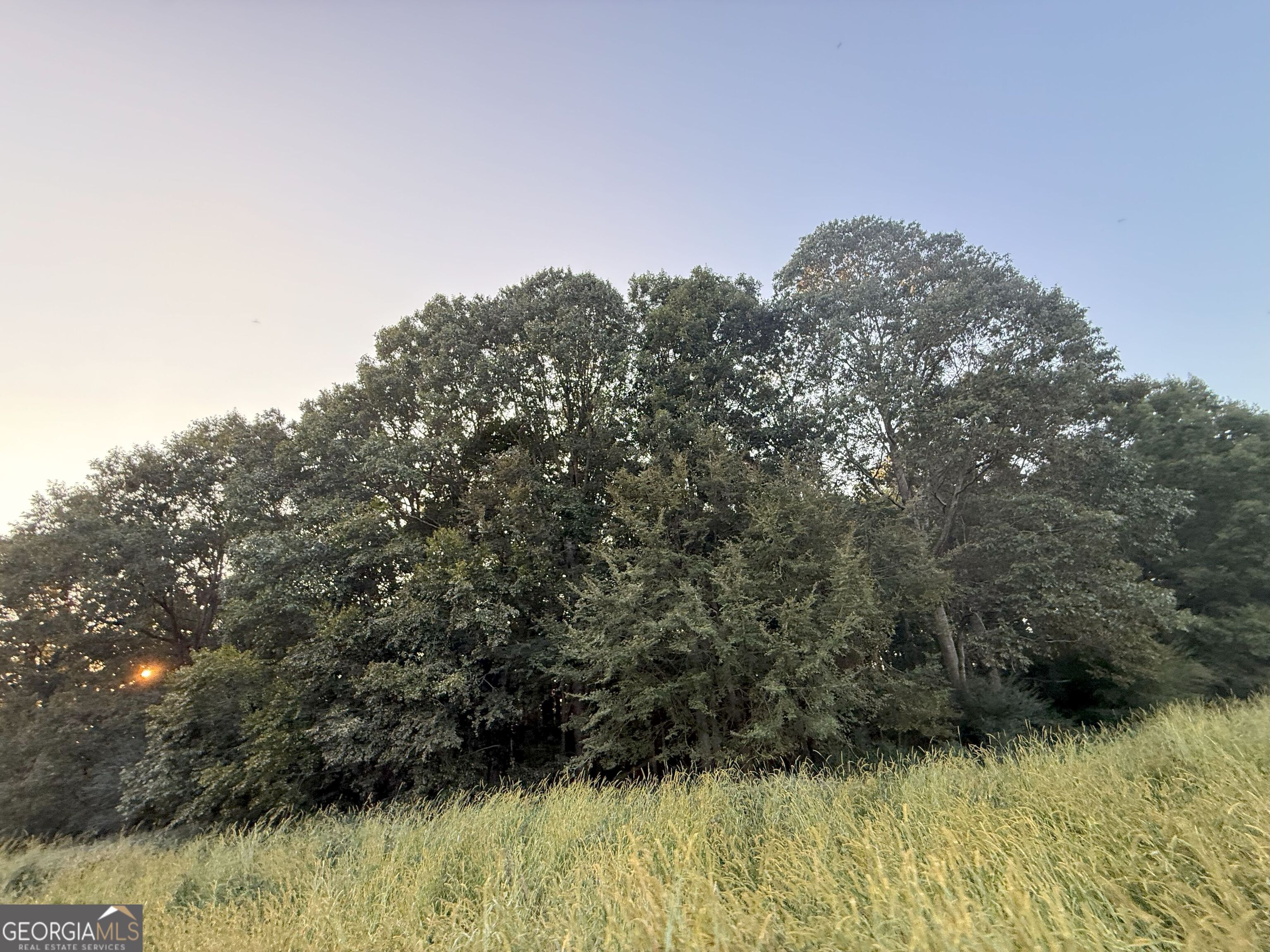 13 West L Williams Road Commerce, GA 30530 - Photo 21 of 25 a view of plants and trees