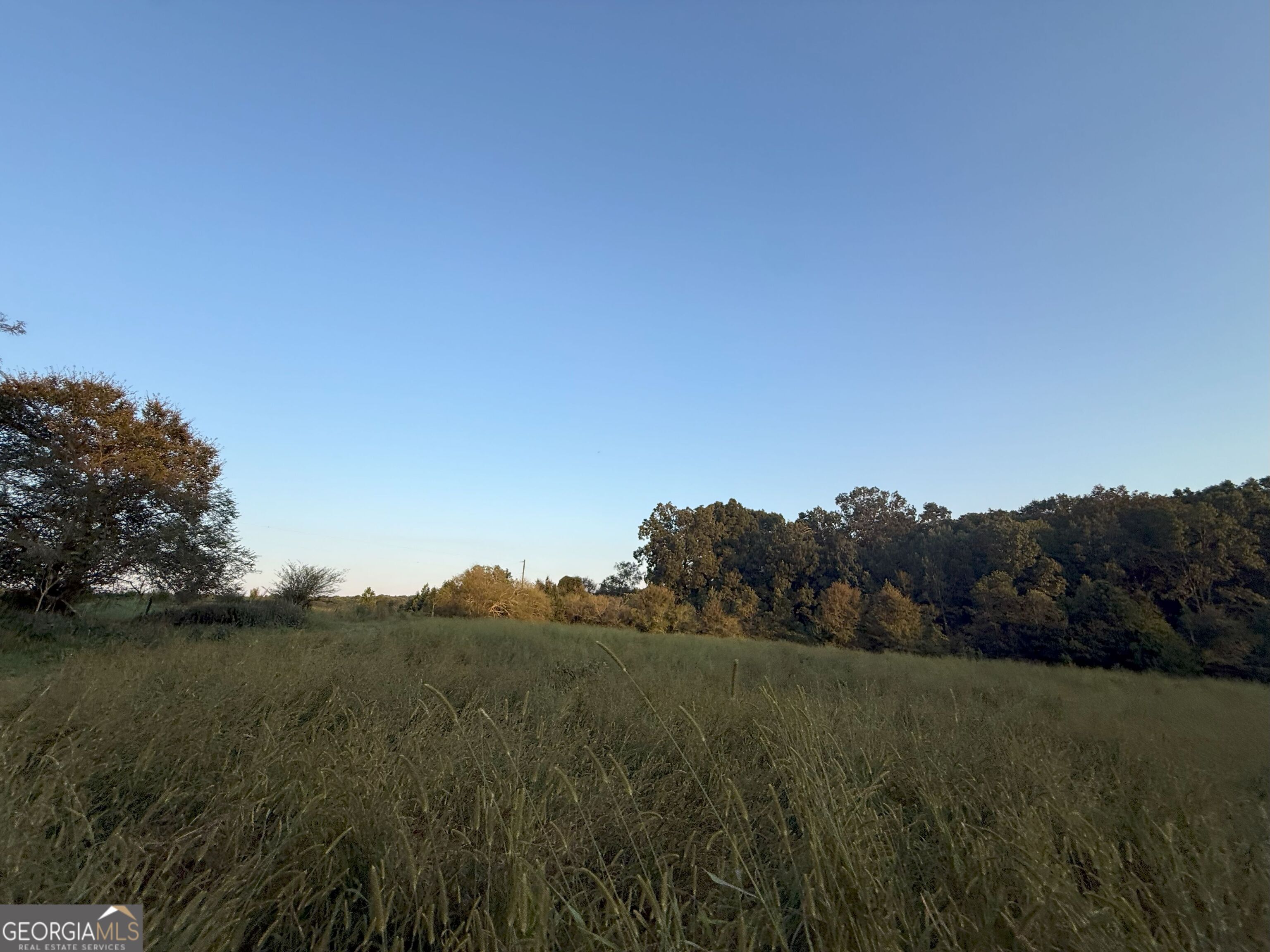 13 West L Williams Road Commerce, GA 30530 - Photo 23 of 25 a view of a field of grass and trees