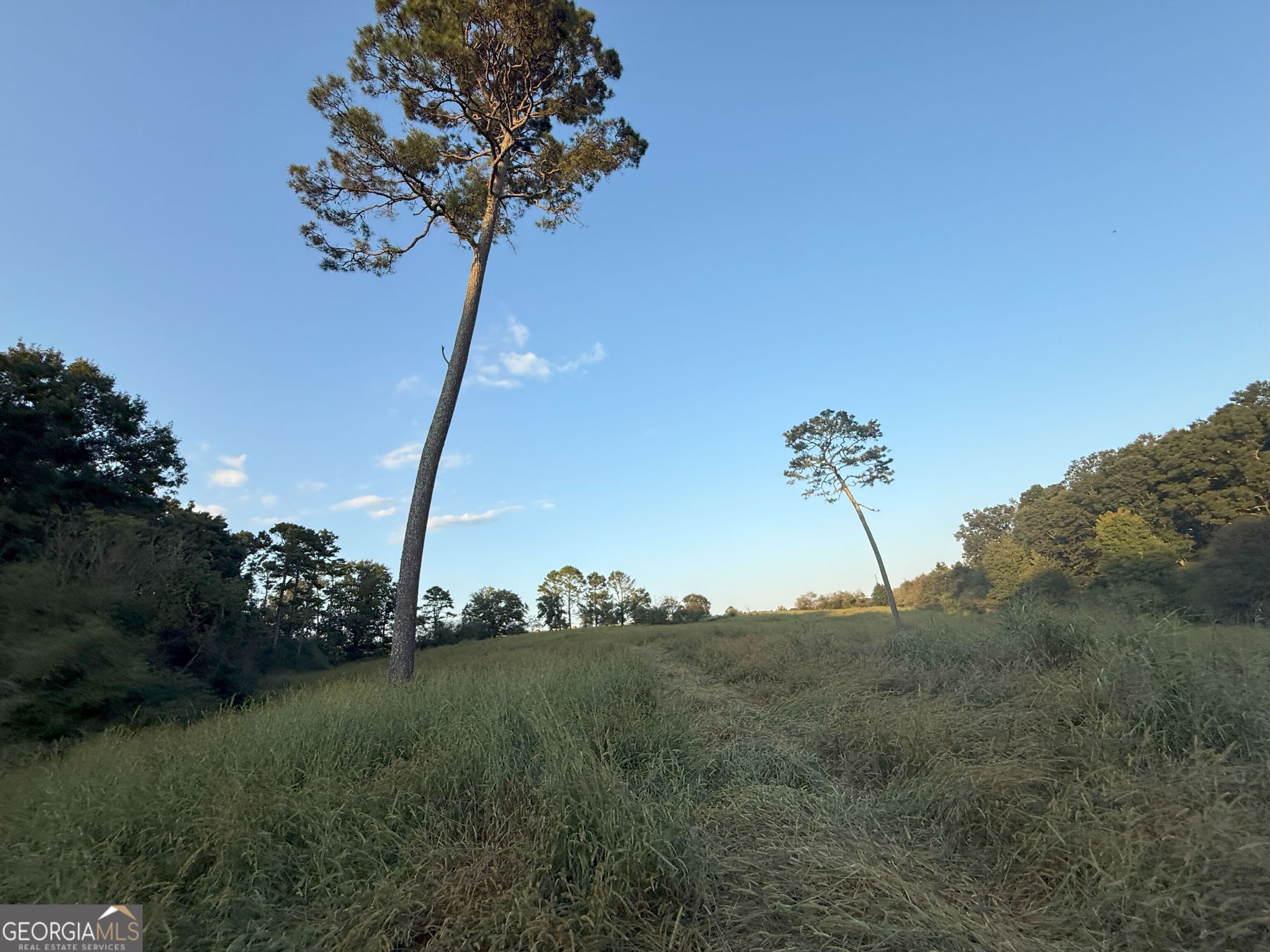 13 West L Williams Road Commerce, GA 30530 - Photo 6 of 25 a view of a house