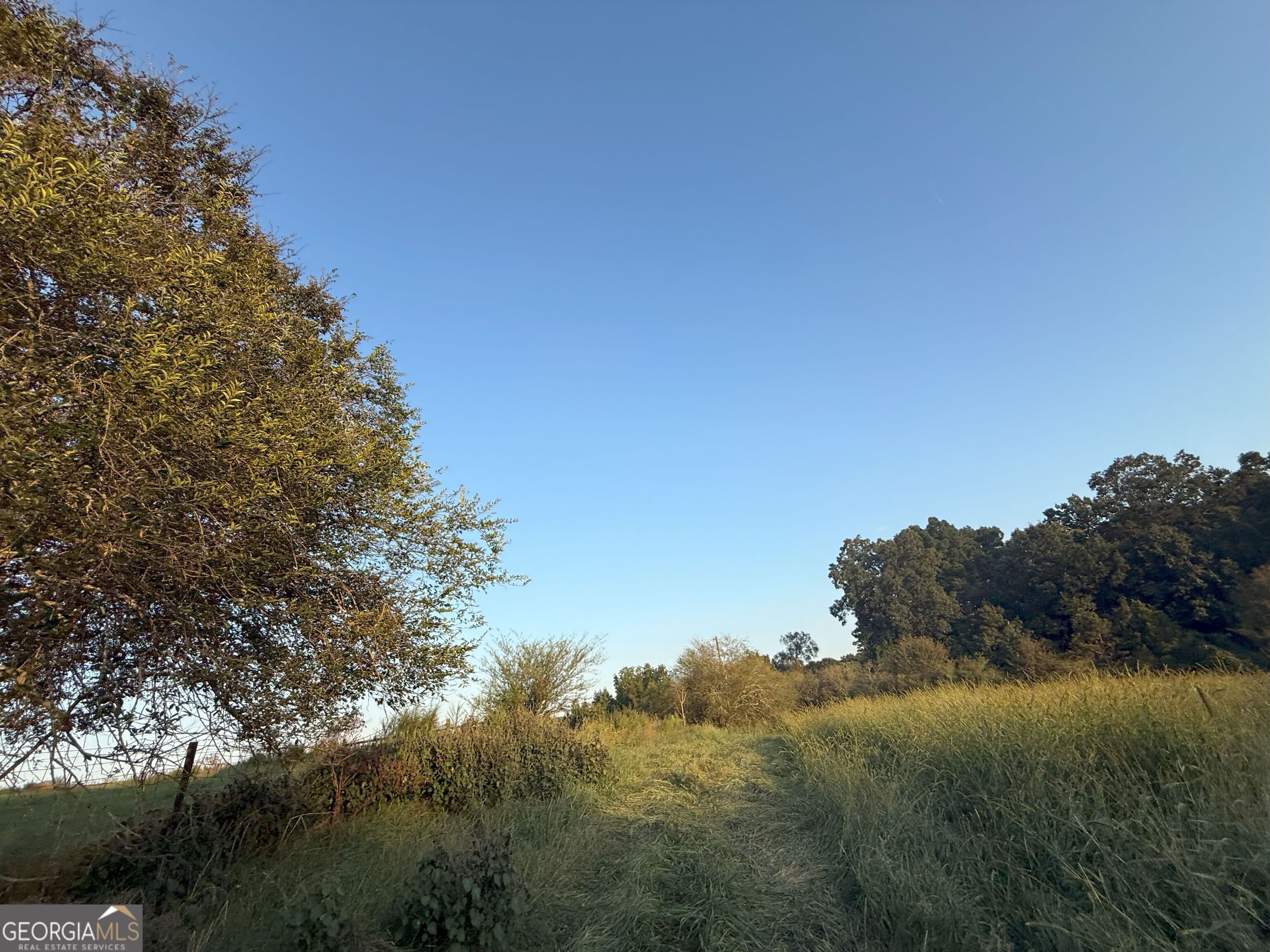 13 West L Williams Road Commerce, GA 30530 - Photo 8 of 25 a view of a field of grass and trees