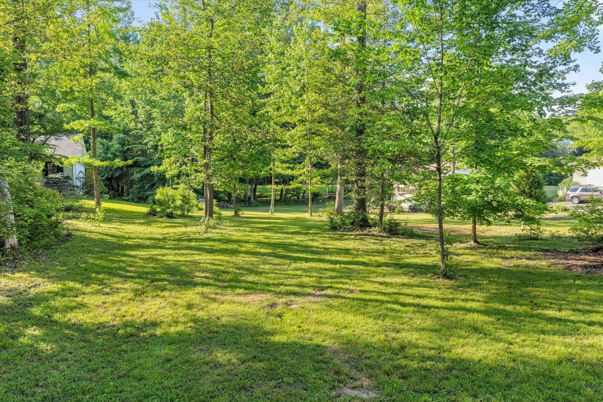 230 Richards Ferry Road Fredericksburg, VA 22406 - Photo 70 of 96 Plenty of side yard already cleared.