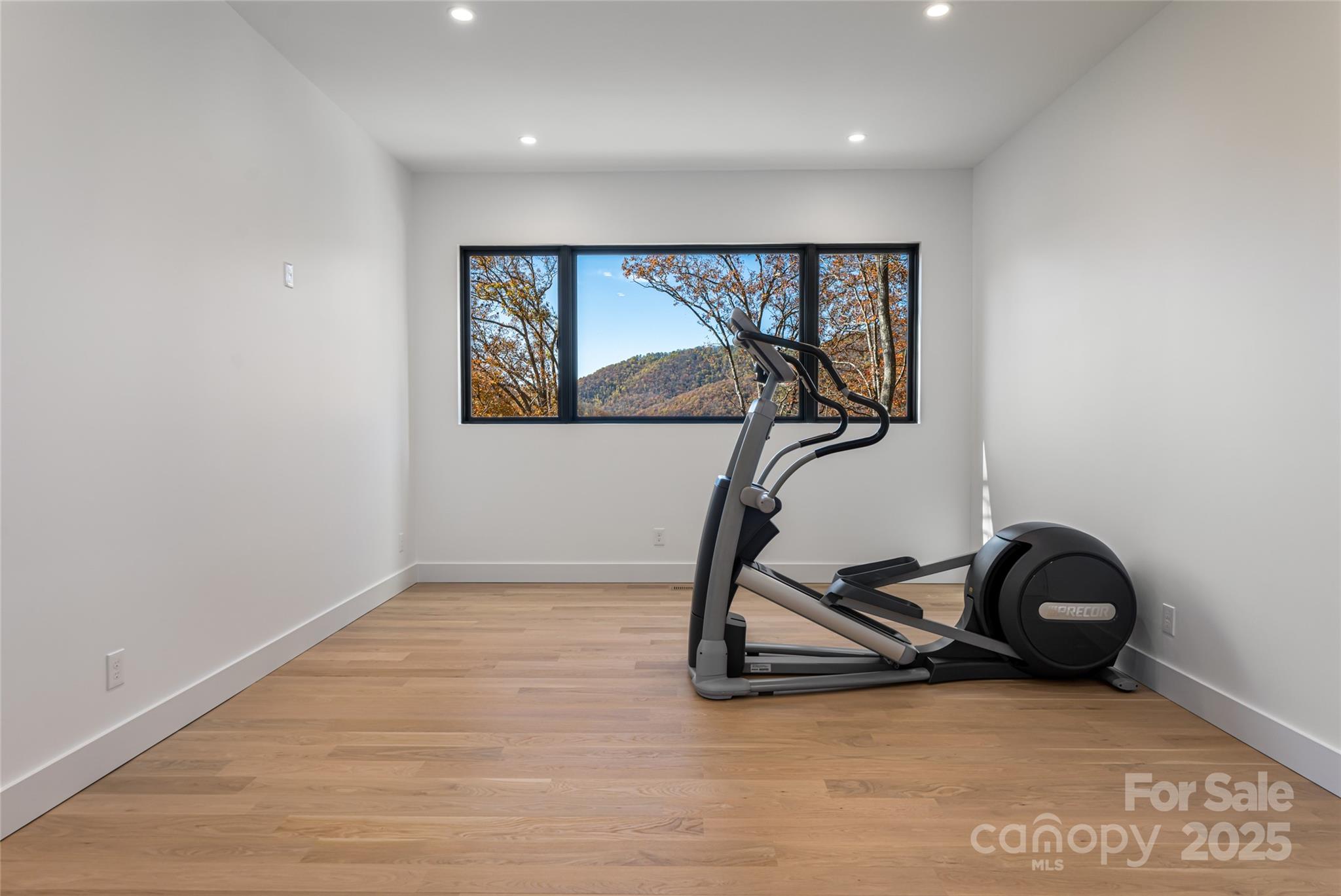 371 Oklahoma Road Montreat, NC 28711 - Photo 35 of 48 a view of a room with gym equipment