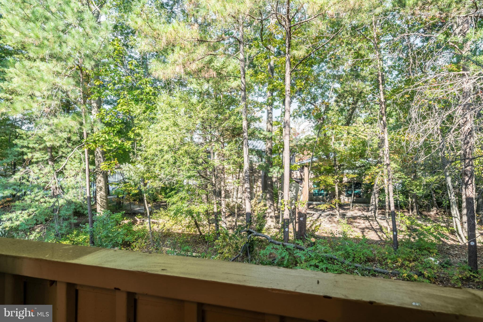 2402 Southgate Square Reston, VA 20191 - Photo 20 of 21 a view of a yard from a balcony