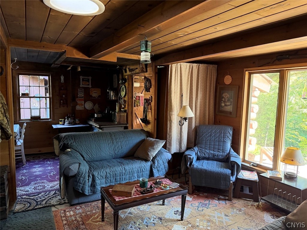 9543 Sawmill Run Road Napoli, NY 14755 - Photo 26 of 50 Gallery Image 26