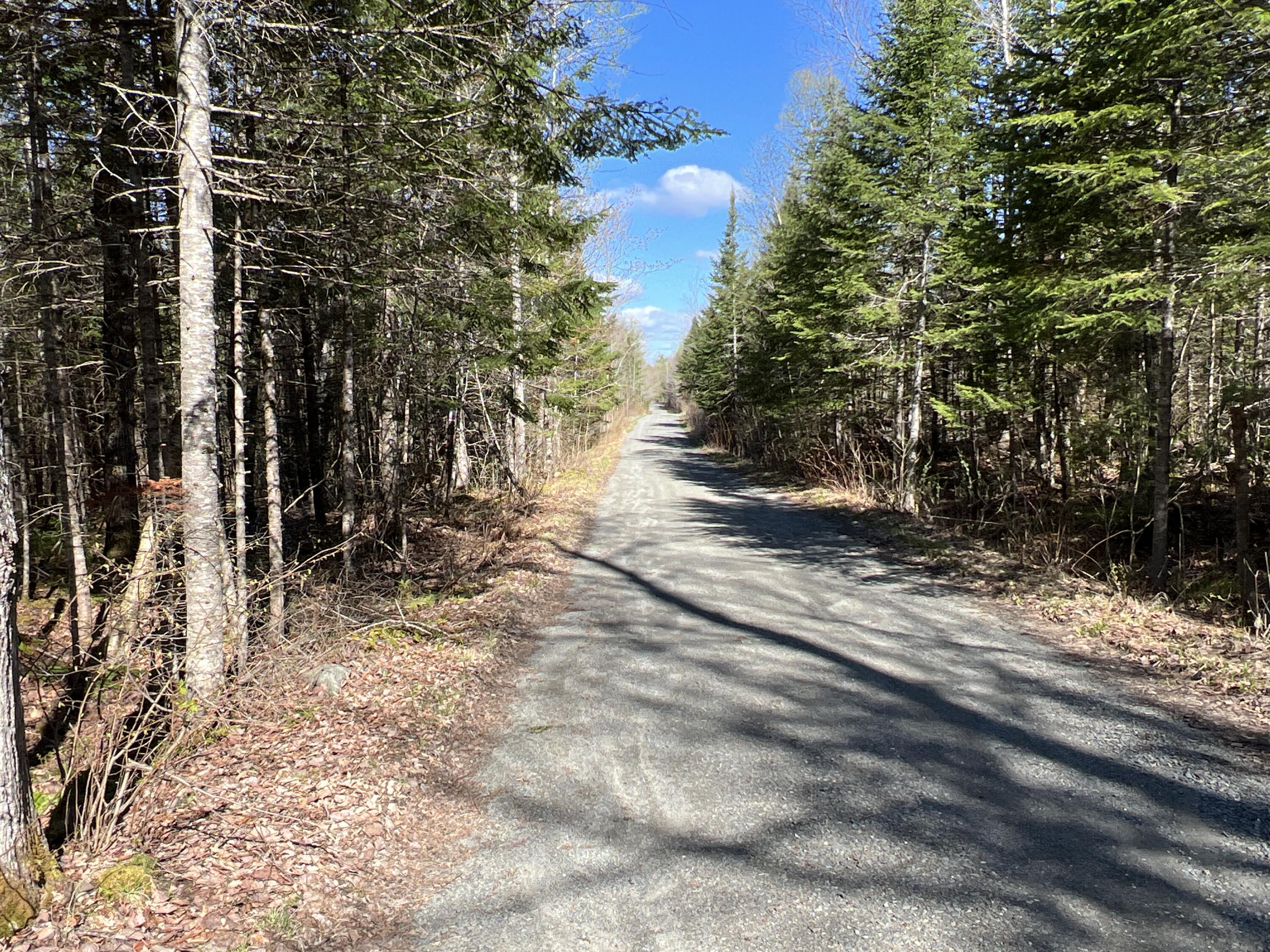 Lot 22 Schoodic Point Road Medford, ME 04463 - Photo 8 of 27 IMG_4173