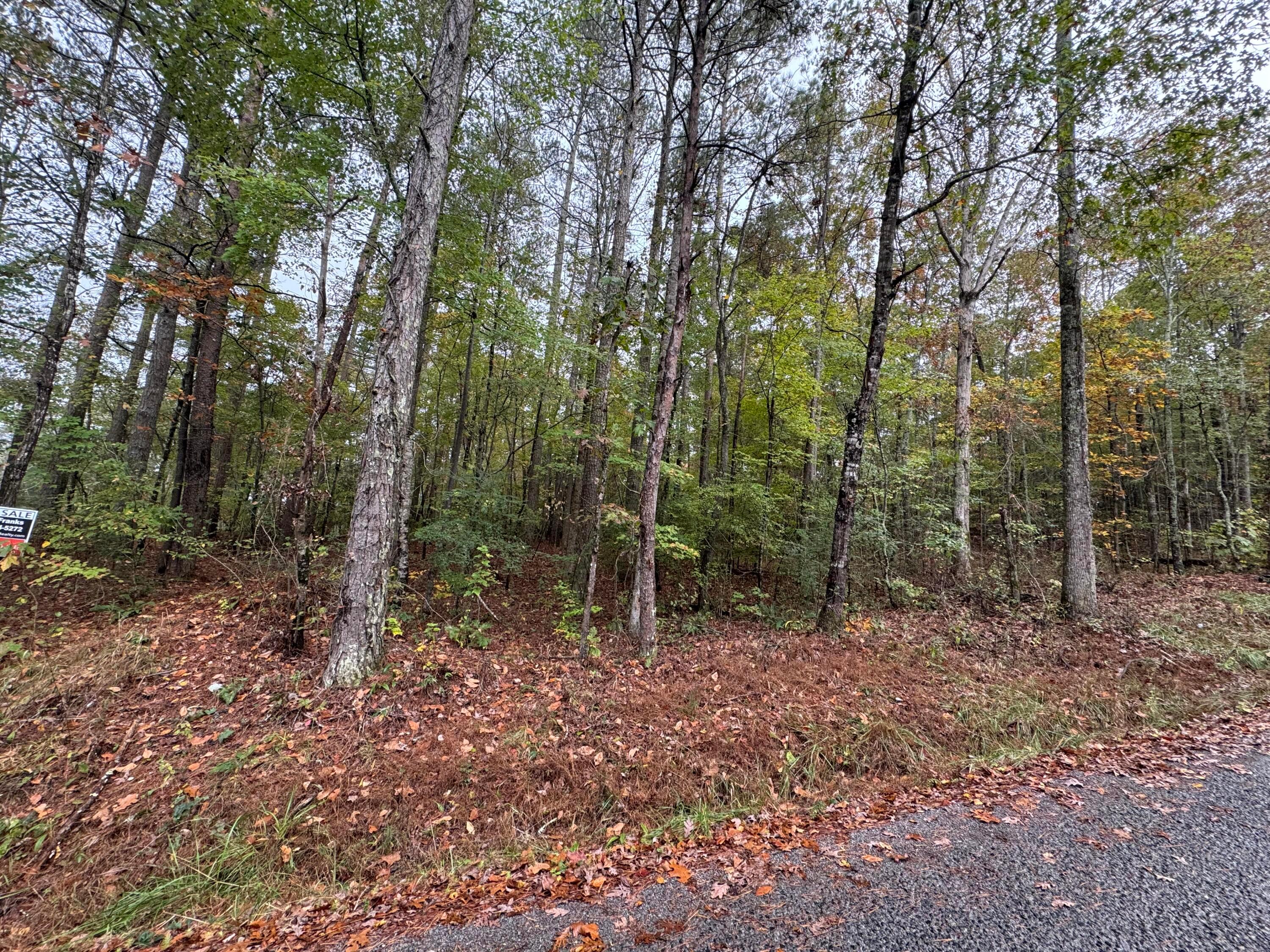 Lot 13 Little Dismal Road Arley, AL 35541 - Photo 6 of 7 IMG_0929