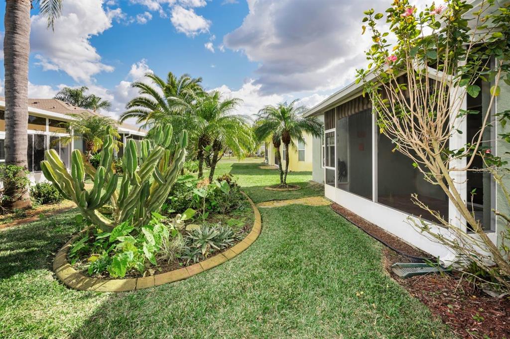 12154 Putter Green Court New Port Richey, FL 34654 - Photo 32 of 73 a view of a yard with plants