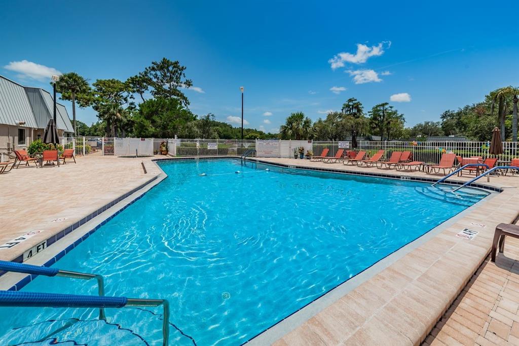 12154 Putter Green Court New Port Richey, FL 34654 - Photo 40 of 73 a view of a swimming pool with a lounge chairs