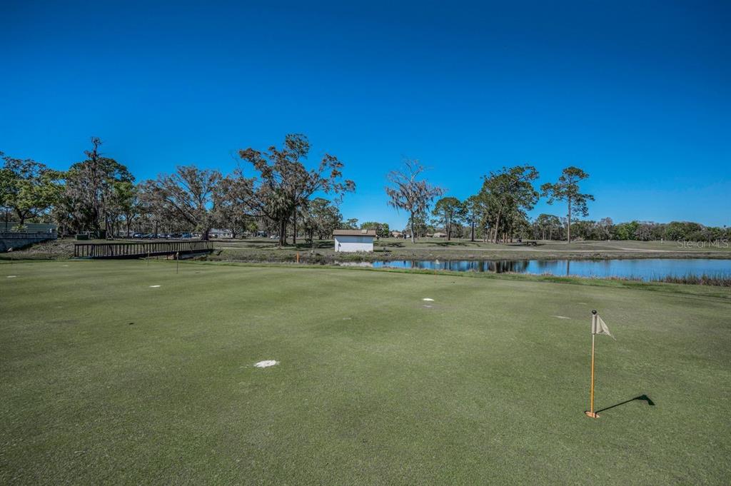 12154 Putter Green Court New Port Richey, FL 34654 - Photo 46 of 73 a view of swimming pool with outdoor seating and yard in back