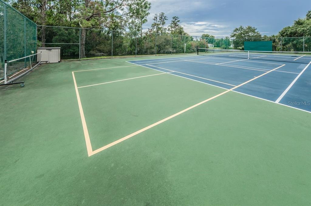 12154 Putter Green Court New Port Richey, FL 34654 - Photo 49 of 73 a view of an outdoor space and tennis court