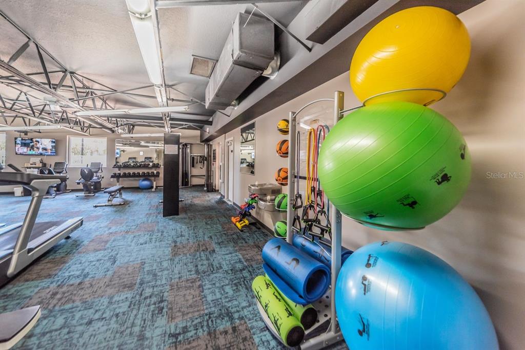 12154 Putter Green Court New Port Richey, FL 34654 - Photo 66 of 73