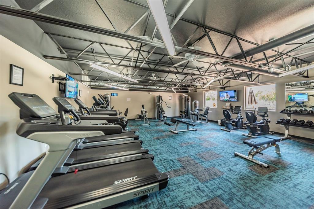 12154 Putter Green Court New Port Richey, FL 34654 - Photo 70 of 73 a view of gym