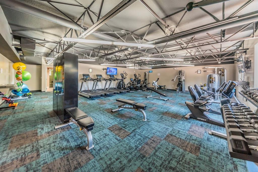 12154 Putter Green Court New Port Richey, FL 34654 - Photo 71 of 73 a view of a room with gym equipment