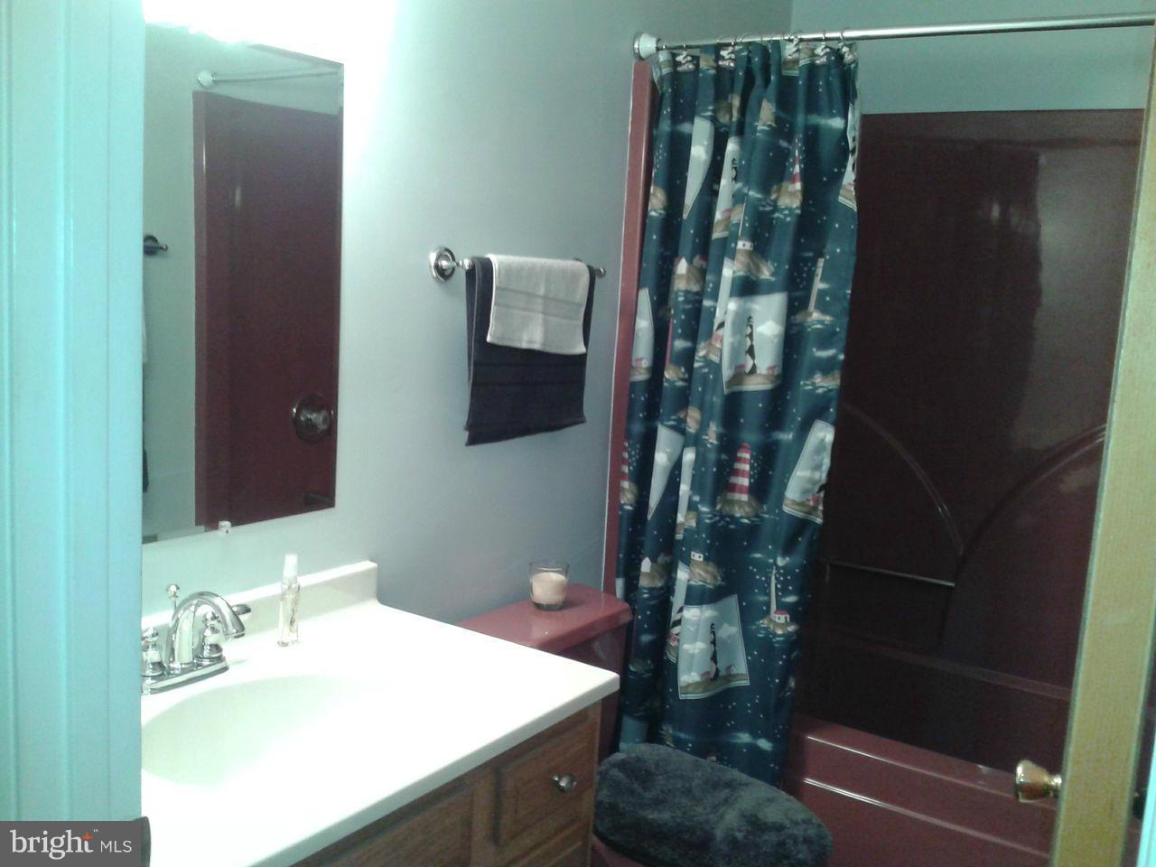 7808 East Shore Road Pasadena, MD 21122 - Photo 16 of 30 Bath